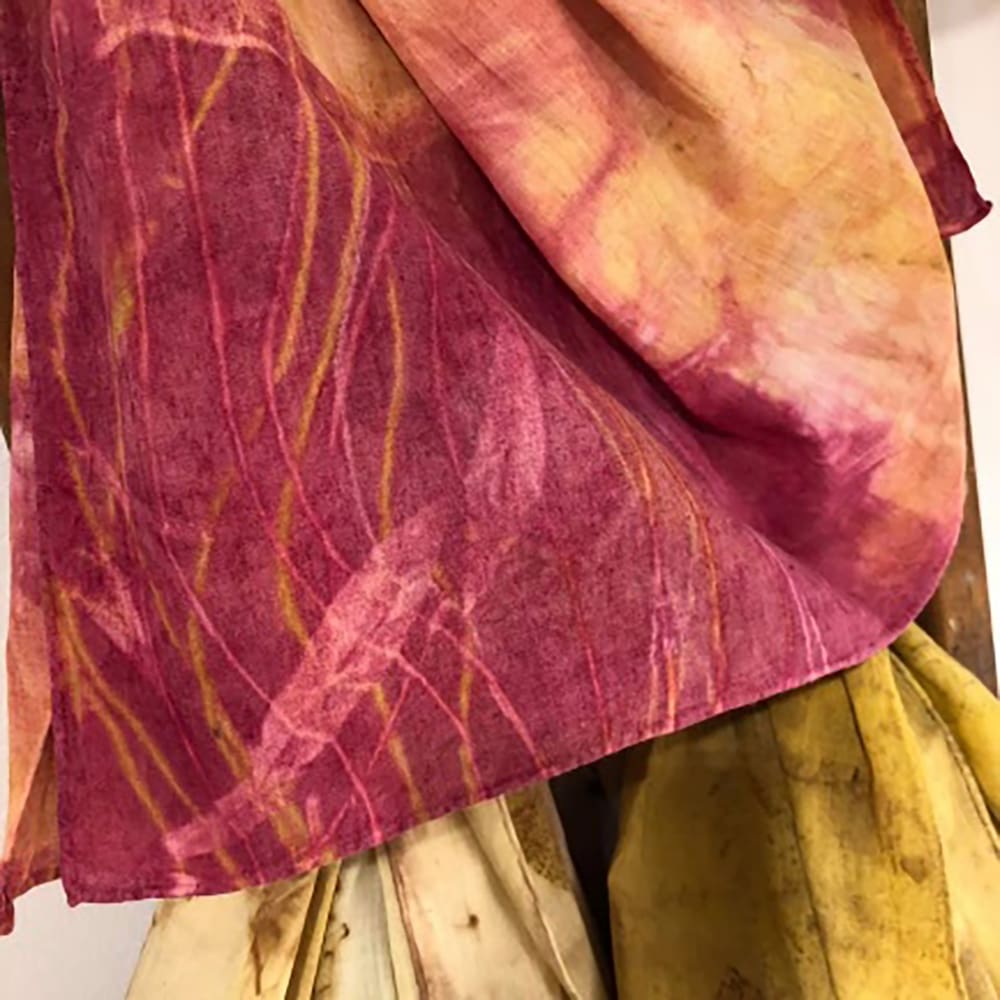 Natural Dye project for Dunstable Physic Garden